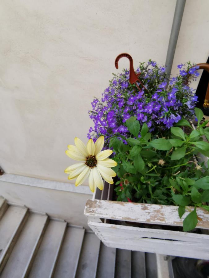 Ferienwohnung Casuzzamia Palermo Exterior foto